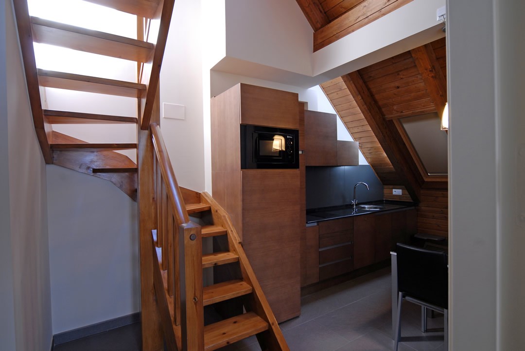 Appartement Suite Duplex (1 chambre)