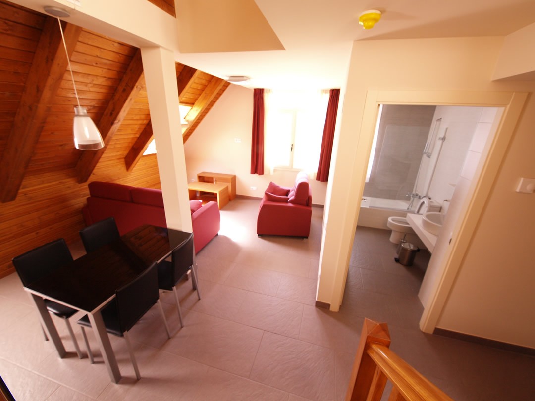 Appartement Suite Duplex (1 chambre)